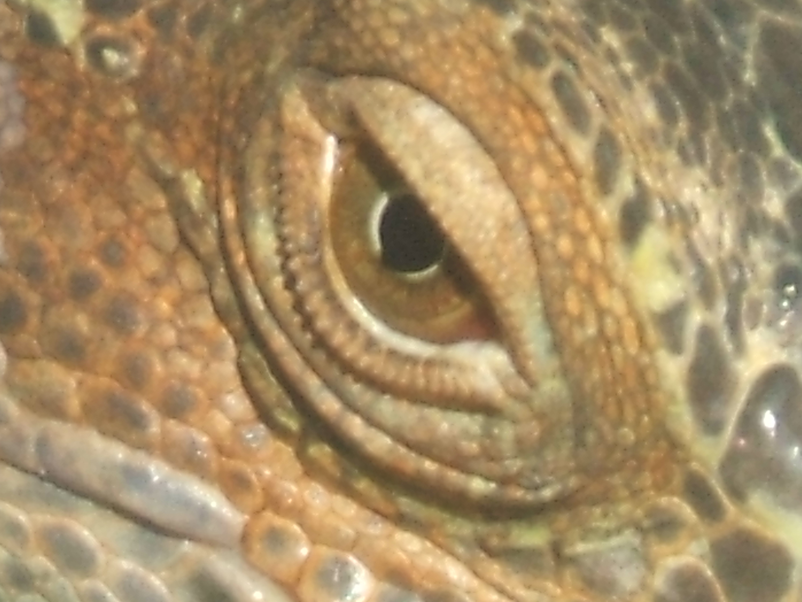 DSCF2495